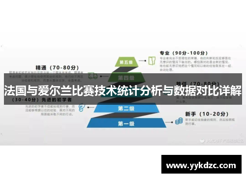 法国与爱尔兰比赛技术统计分析与数据对比详解